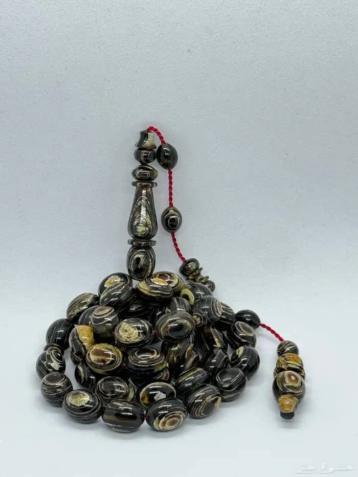 ترسة سلحفاة عيون نادر جدا  مستوى صعب 1