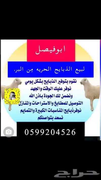 ذبايح هدي وفدي مع الذبح والتوصيل او التوزيع 20