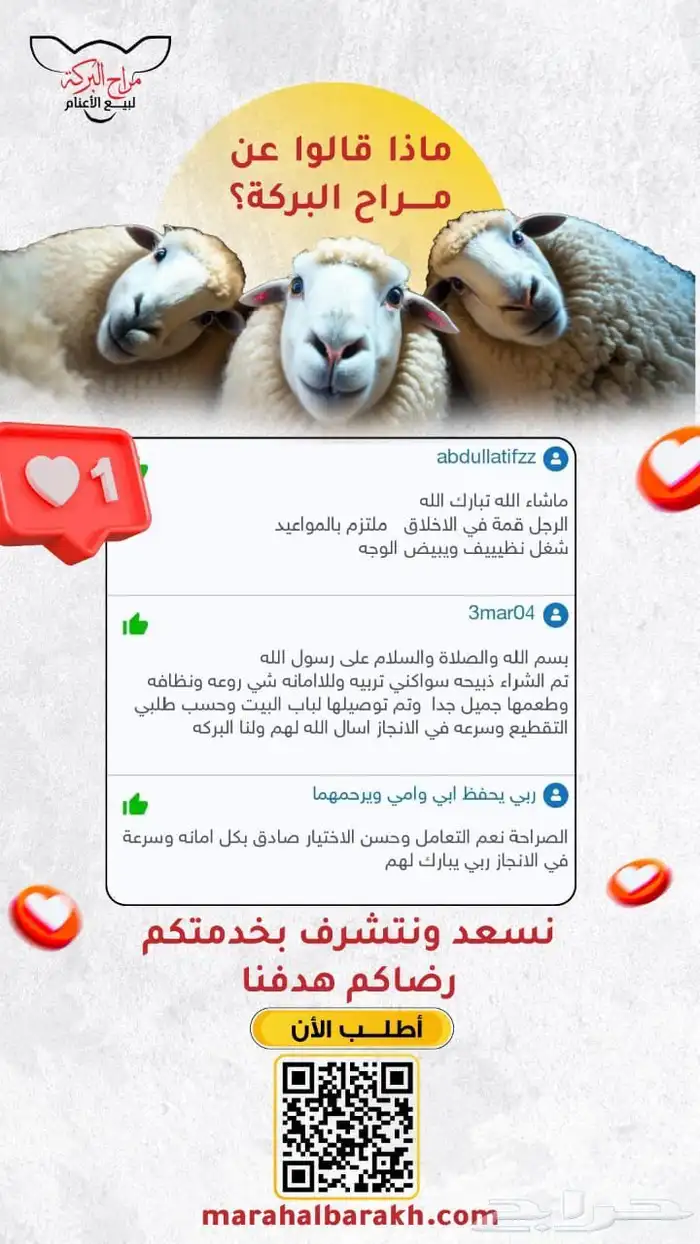 ذبيحتك لباب بيتك راجع التقييم 23
