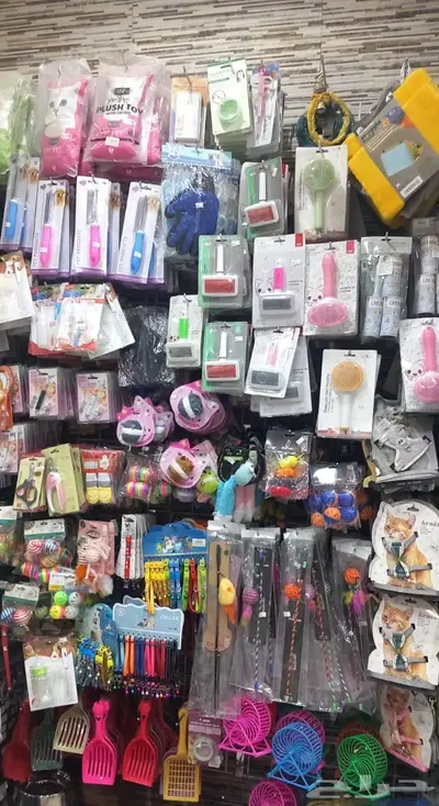 سلاحف برية وبرمائية وسمك فايتر محل نوادر 55