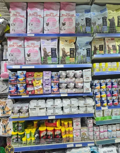 سلاحف برية وبرمائية وسمك فايتر محل نوادر 23