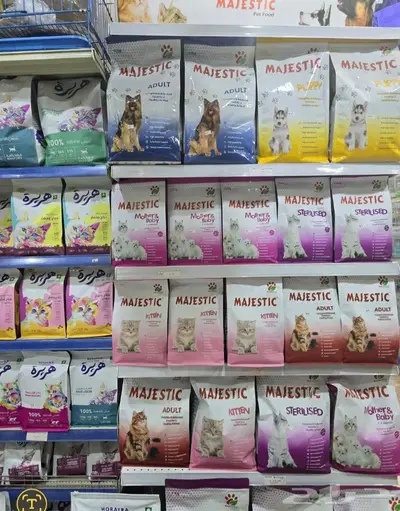 سلاحف برية وبرمائية وسمك فايتر محل نوادر 32