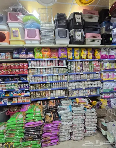 سلاحف برية وبرمائية وسمك فايتر محل نوادر 39