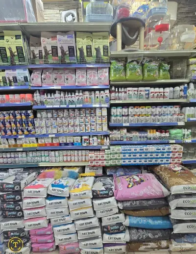 سلاحف برية وبرمائية وسمك فايتر محل نوادر 25