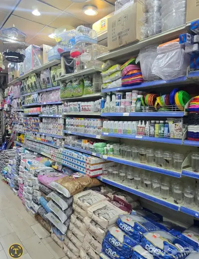سلاحف برية وبرمائية وسمك فايتر محل نوادر 15