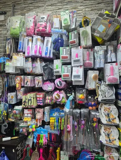 سلاحف برية وبرمائية وسمك فايتر محل نوادر 22