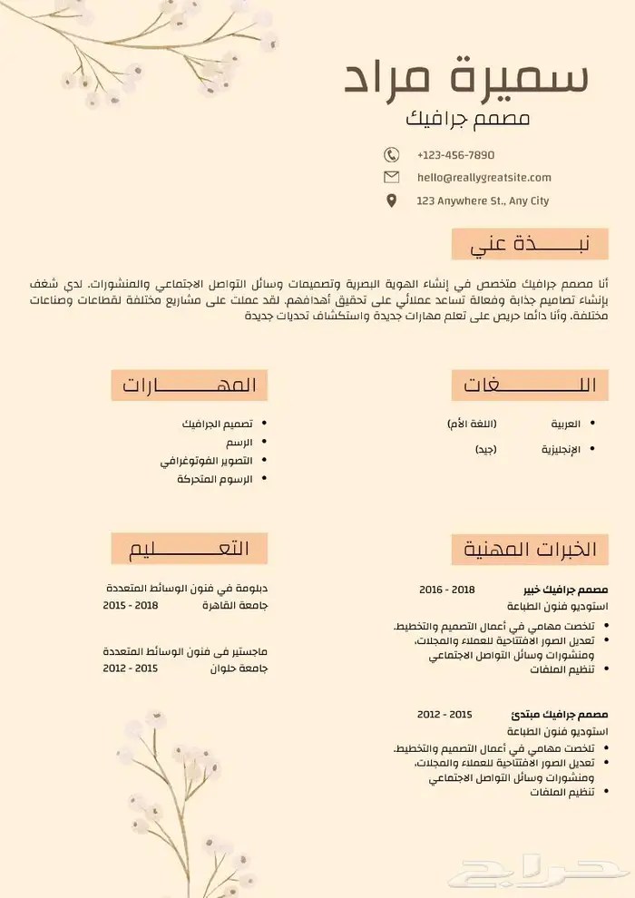 تصميم سيرة ذاتية - CV -Portfolio 4