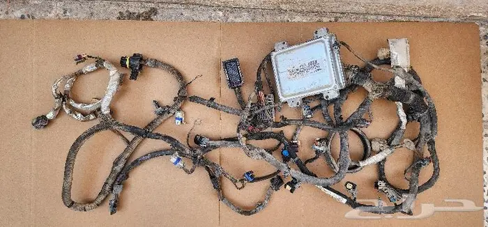 ظفيرة مكينة كابرس-لومينا كمبيوتر Ls2 0