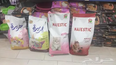 سلاحف برية وبرمائية وسمك فايتر محل نوادر 52