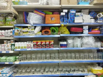 سلاحف برية وبرمائية وسمك فايتر محل نوادر 70