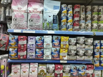 سلاحف برية وبرمائية وسمك فايتر محل نوادر 74
