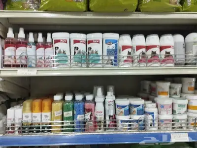 سلاحف برية وبرمائية وسمك فايتر محل نوادر 75