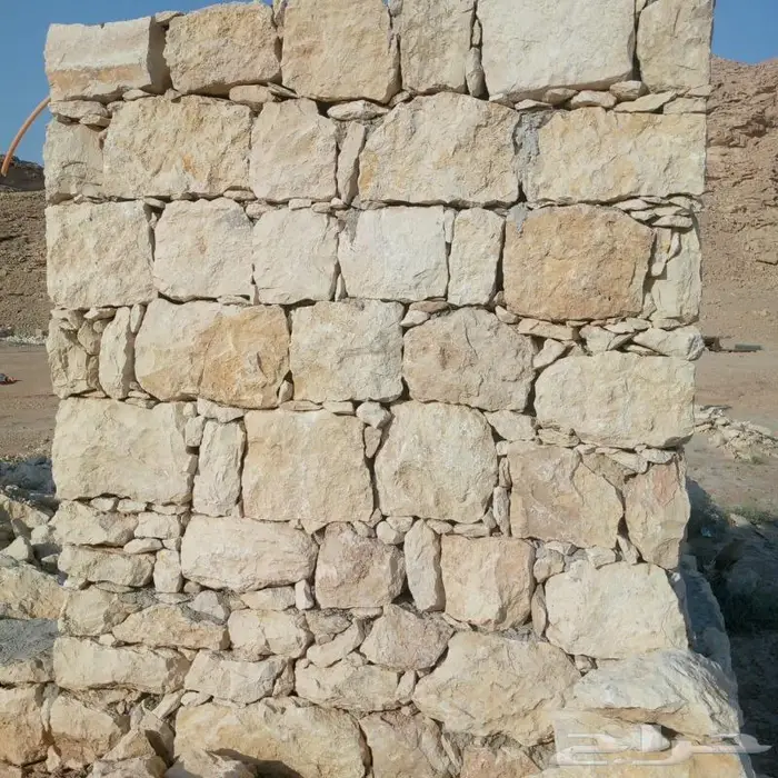 ارياض 0