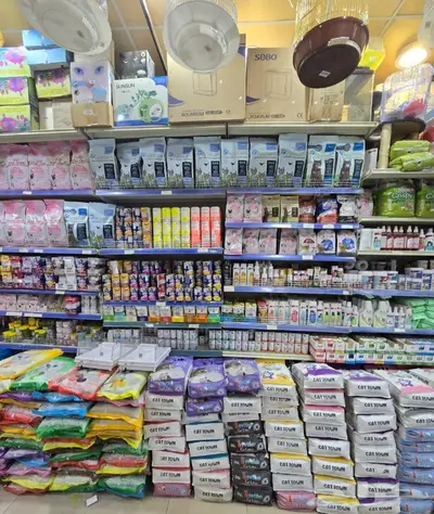 سلاحف برية وبرمائية وسمك فايتر محل نوادر 34