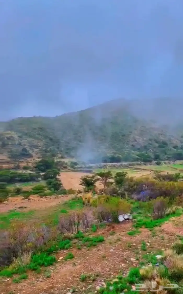 فلل ريفية السودة باحة ربيعة 7