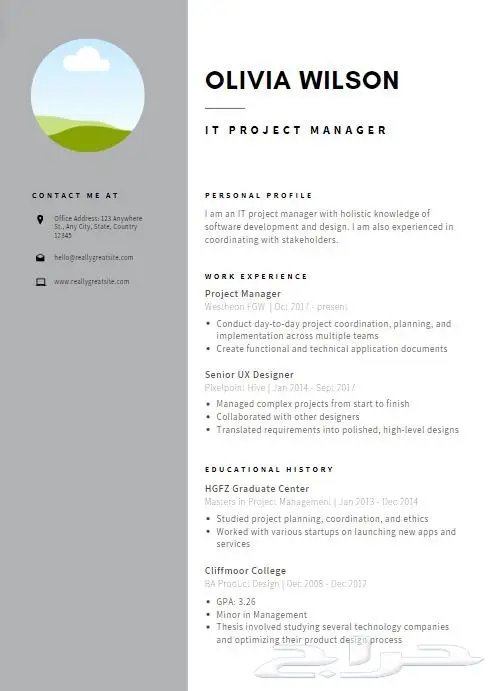 تصميم سيره ذاتيه احترافيه بأسعار رمزيه 0