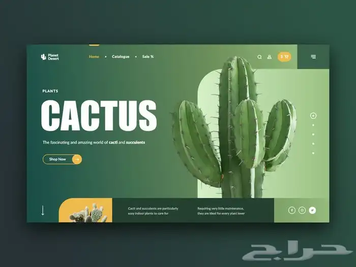 تصميم موقع تعريفي 3