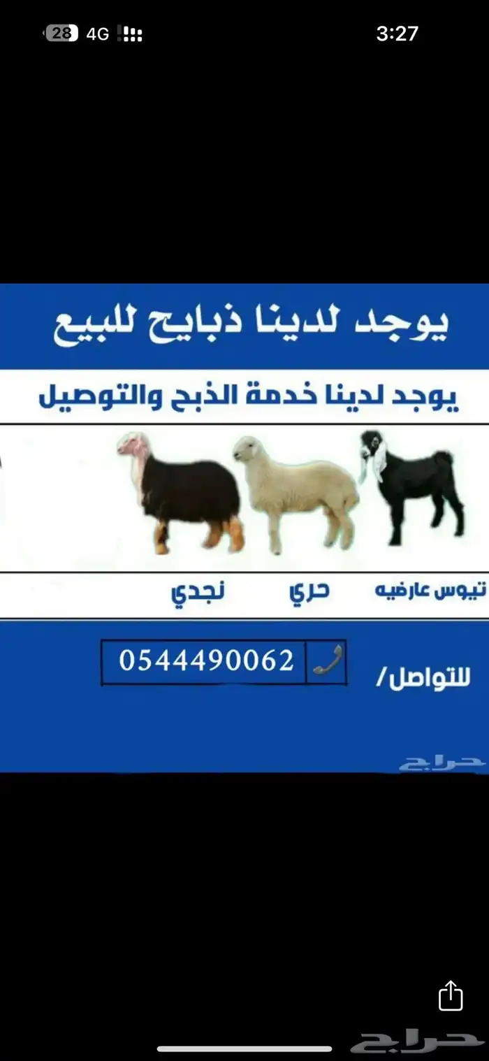 ذبايح نجران 2