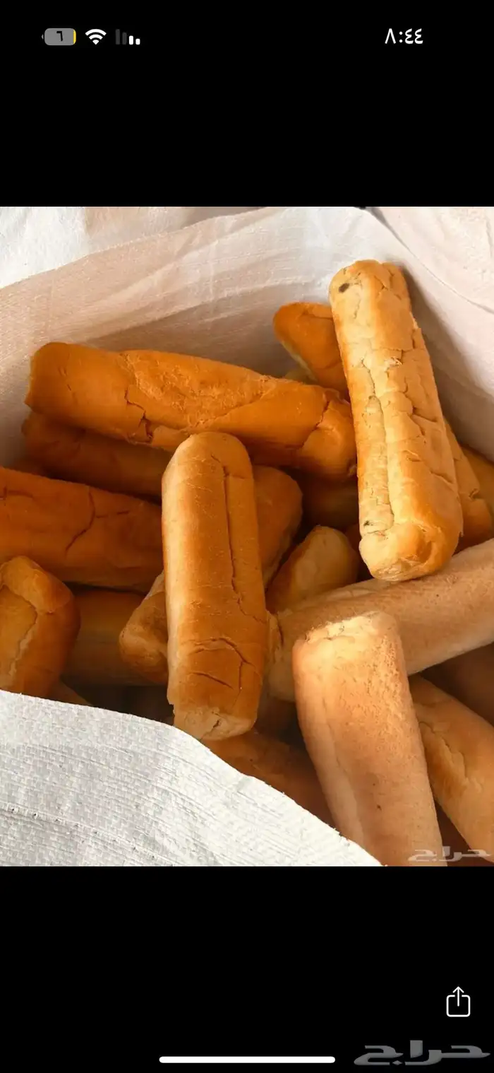 عيش ناشف 1