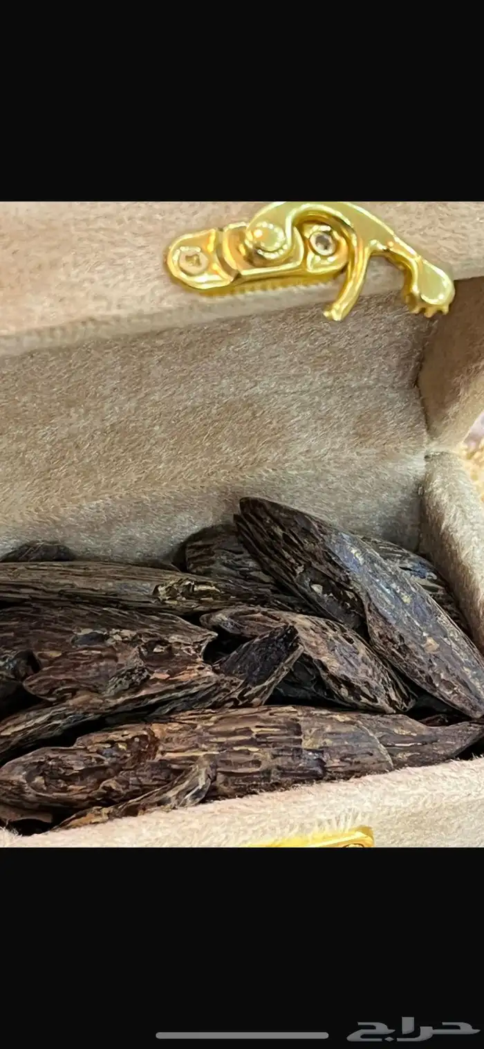 عود كلمنتان بنتلي العود الازرق اصلي خالي من المستكه فاخر 7