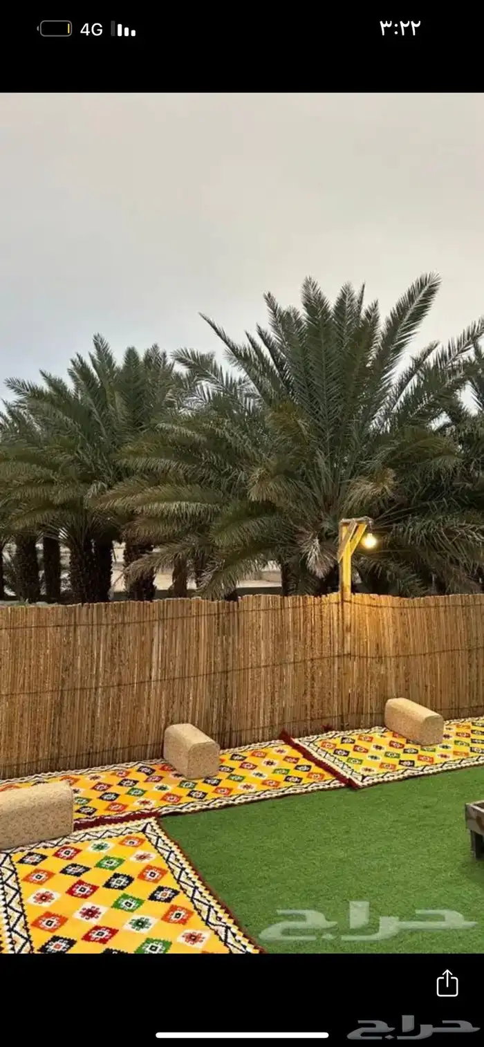 جريد نخل خزاز 0