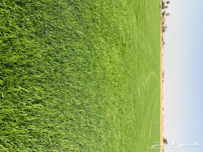 ثيل سي الفين درجه اولى 1