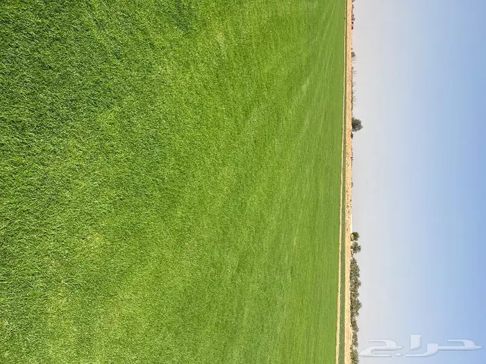 ثيل سي الفين درجه اولى 2
