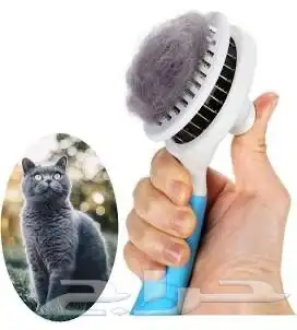 تنظيف قطط حيوانات 1