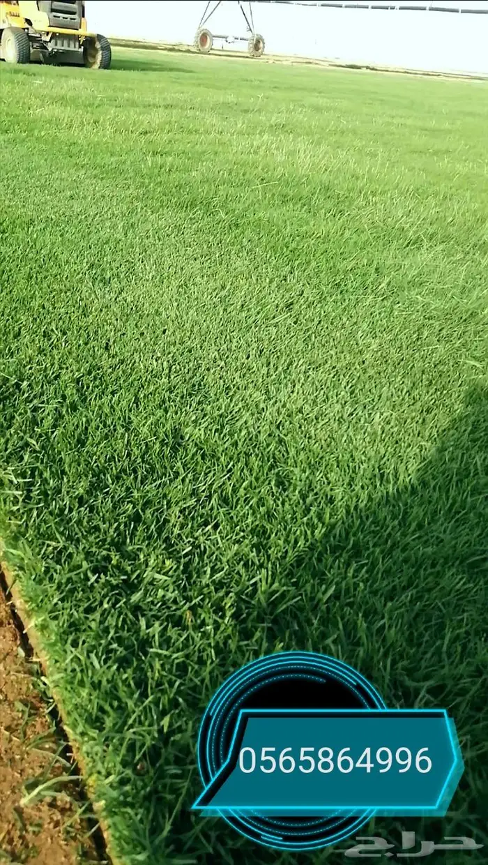 ثيل طبيعي C2000 3