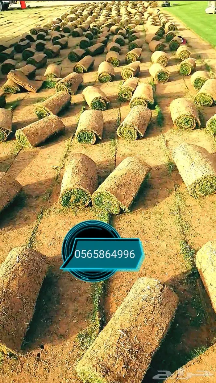 ثيل طبيعي C2000 6