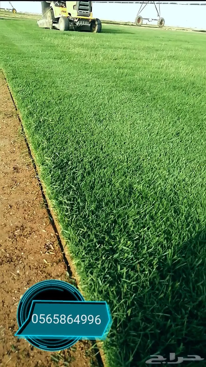 ثيل طبيعي C2000 2