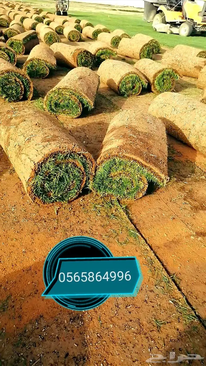 ثيل طبيعي C2000 5