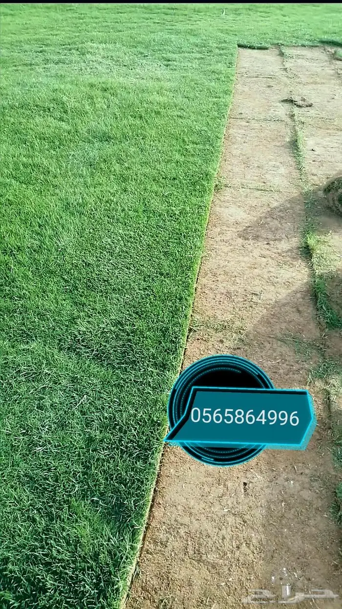 ثيل طبيعي C2000 1