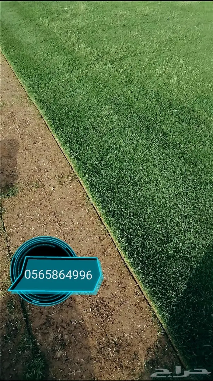 ثيل طبيعي C2000 0