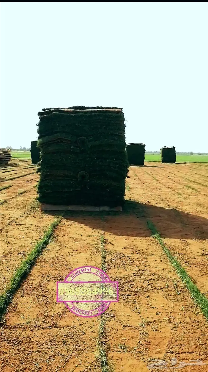 ثيل طبيعي C2000 7