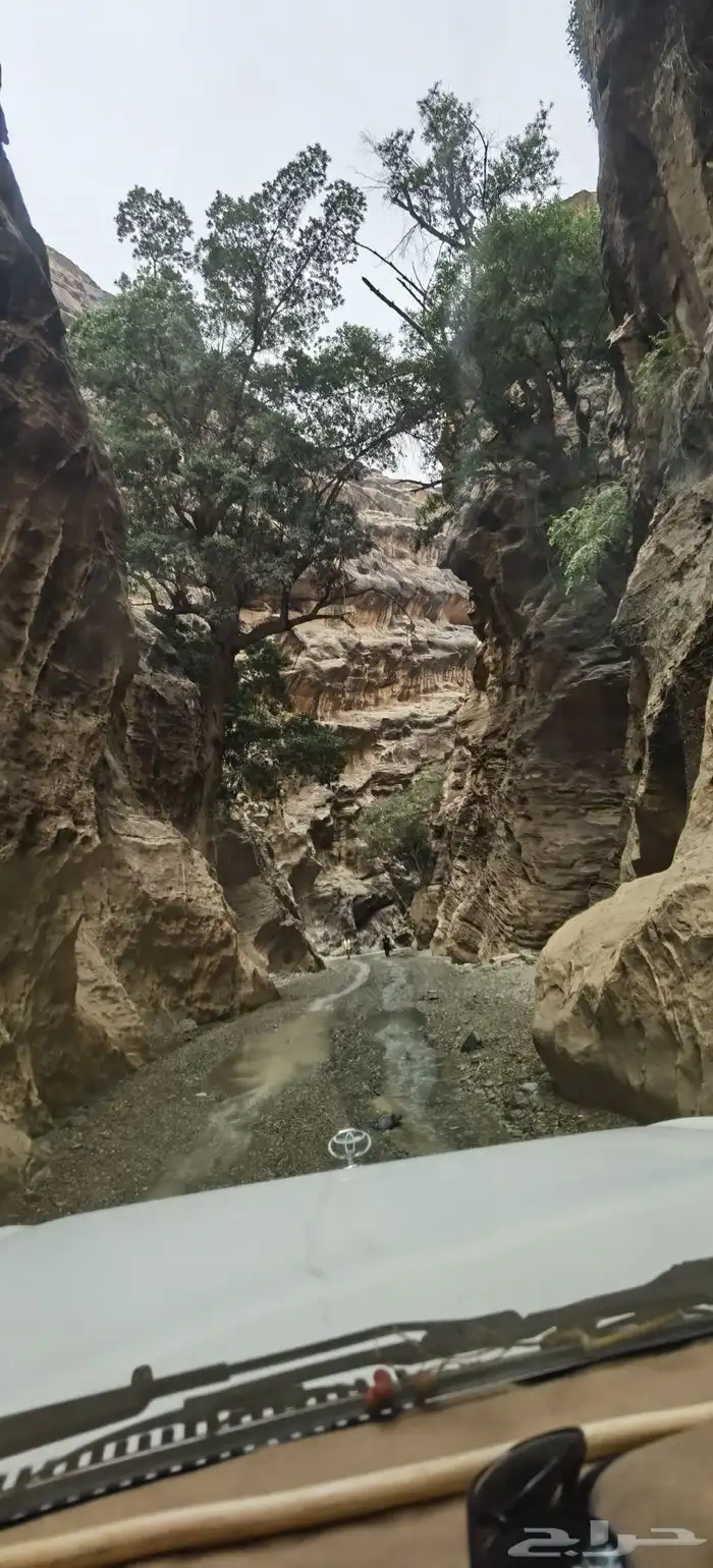 مرشد سياحي في الجنوب ابها جيزان A tour guide in souther 2