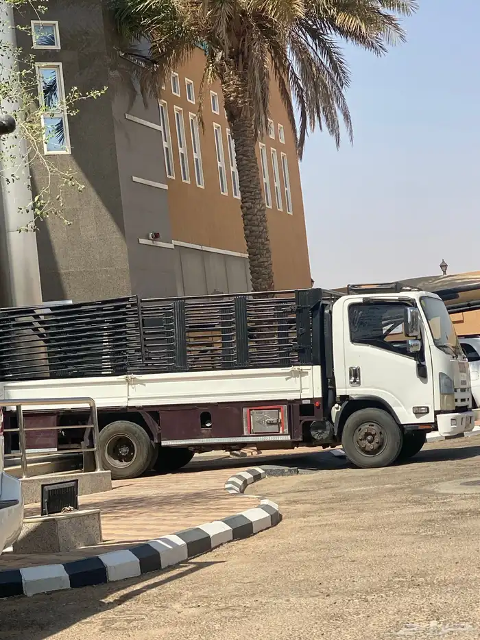 عرعر دينه 1