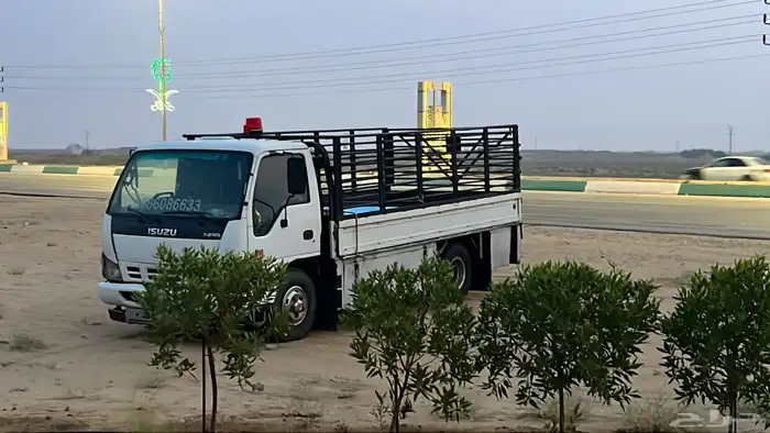 دينا توصيل داخلي وخارجي 0