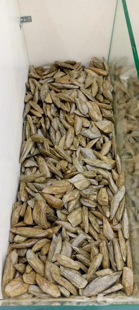 عود مروكي طبيعي محسن 0