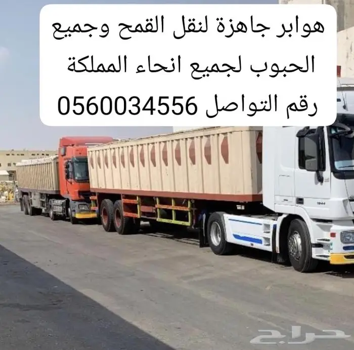تأجير هوابر لنقل القمح وجميع الحبوب 0