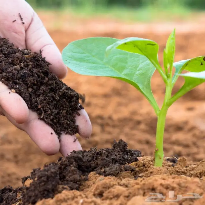 سماد عضوي وسماد دواجن 3