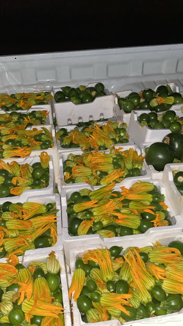 خضار مزارعنا 0