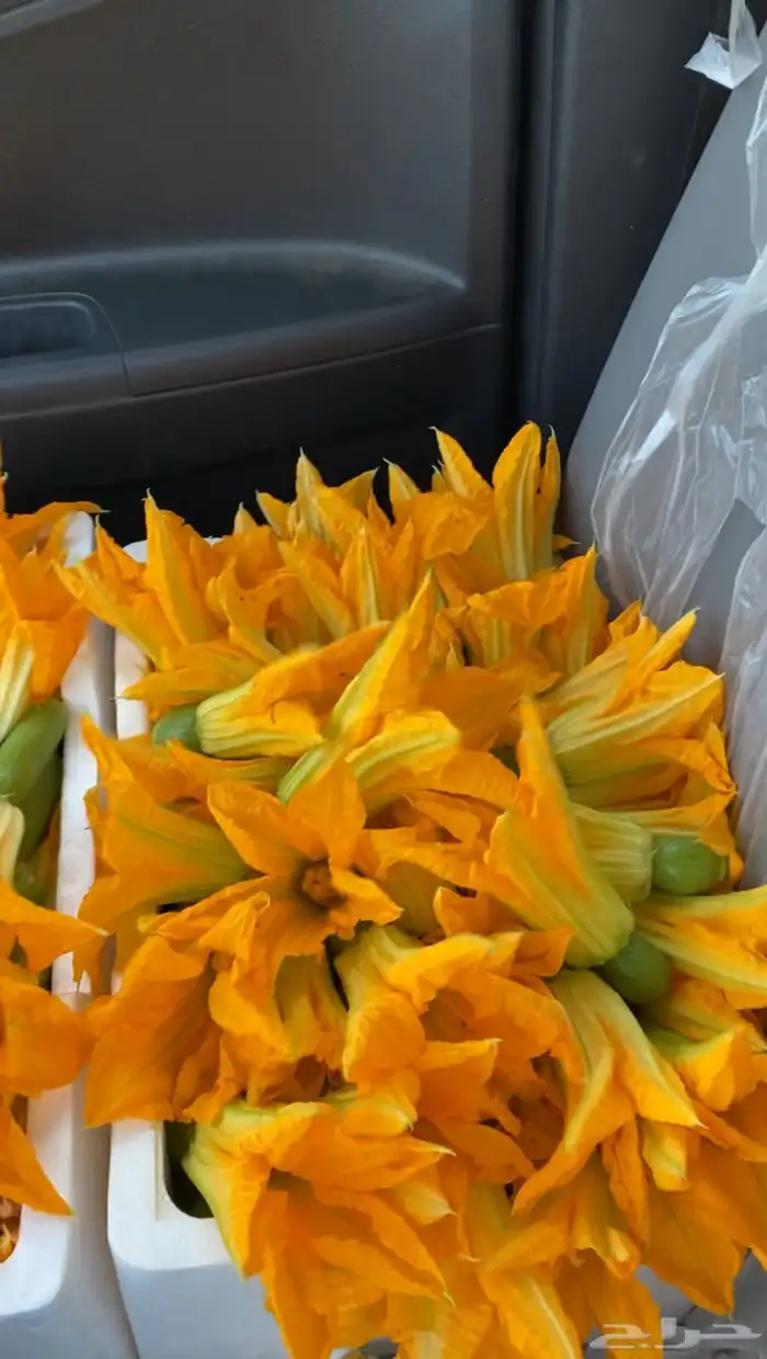 خضار مزارعنا 5