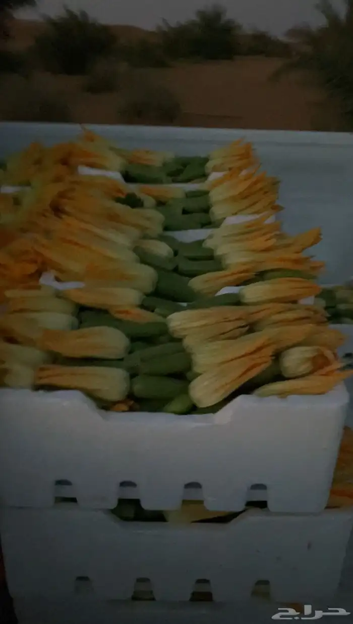 خضار مزارعنا 3