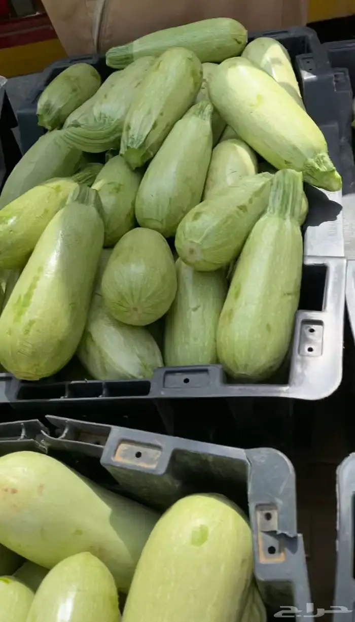 خضار مزارعنا 9