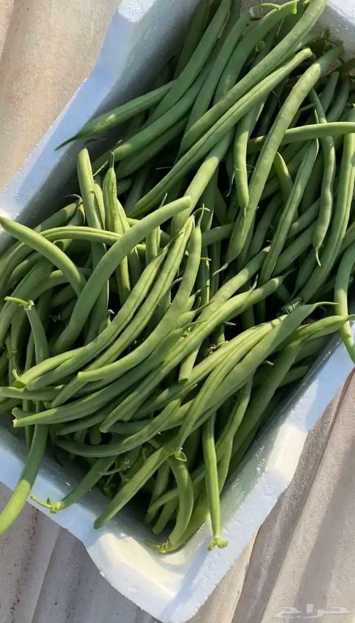 خضار مزارعنا 12