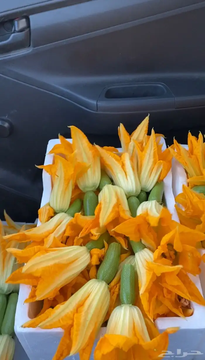 خضار مزارعنا 4