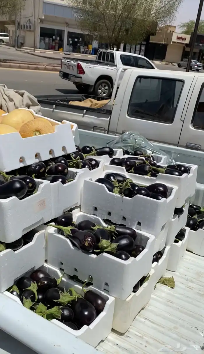 خضار مزارعنا 6