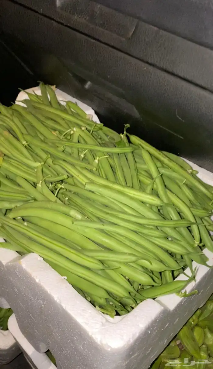 خضار مزارعنا 11