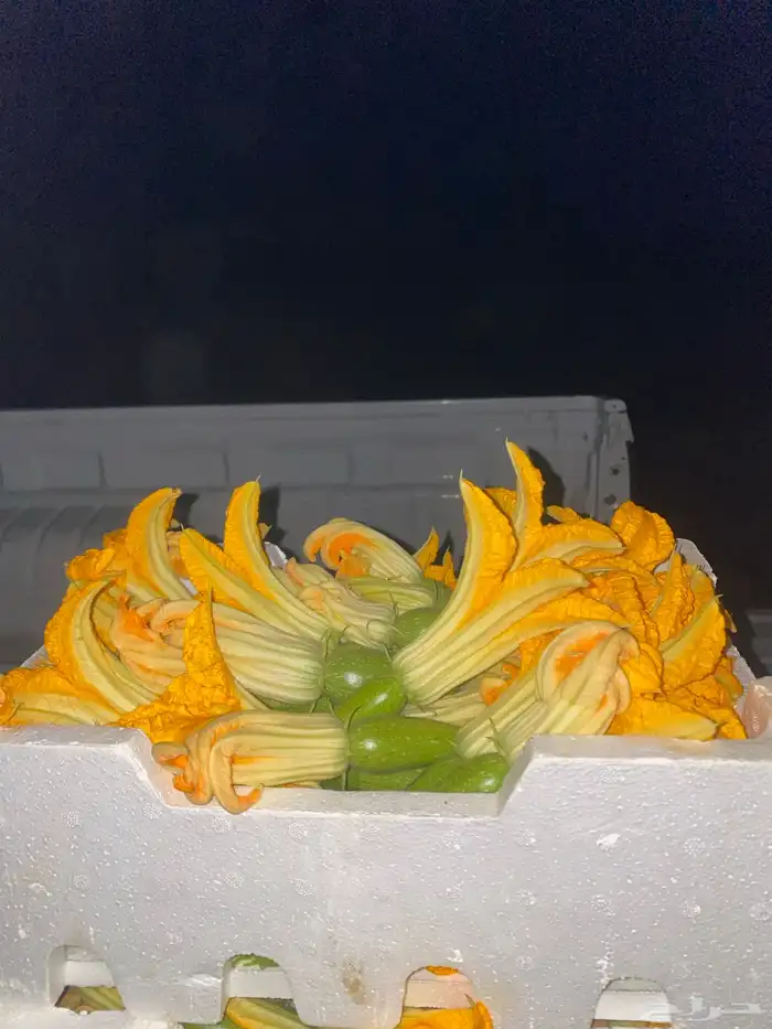 خضار مزارعنا 1